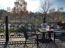 Two weeks later, enjoying lunch outside on a November seventy-degree day.
